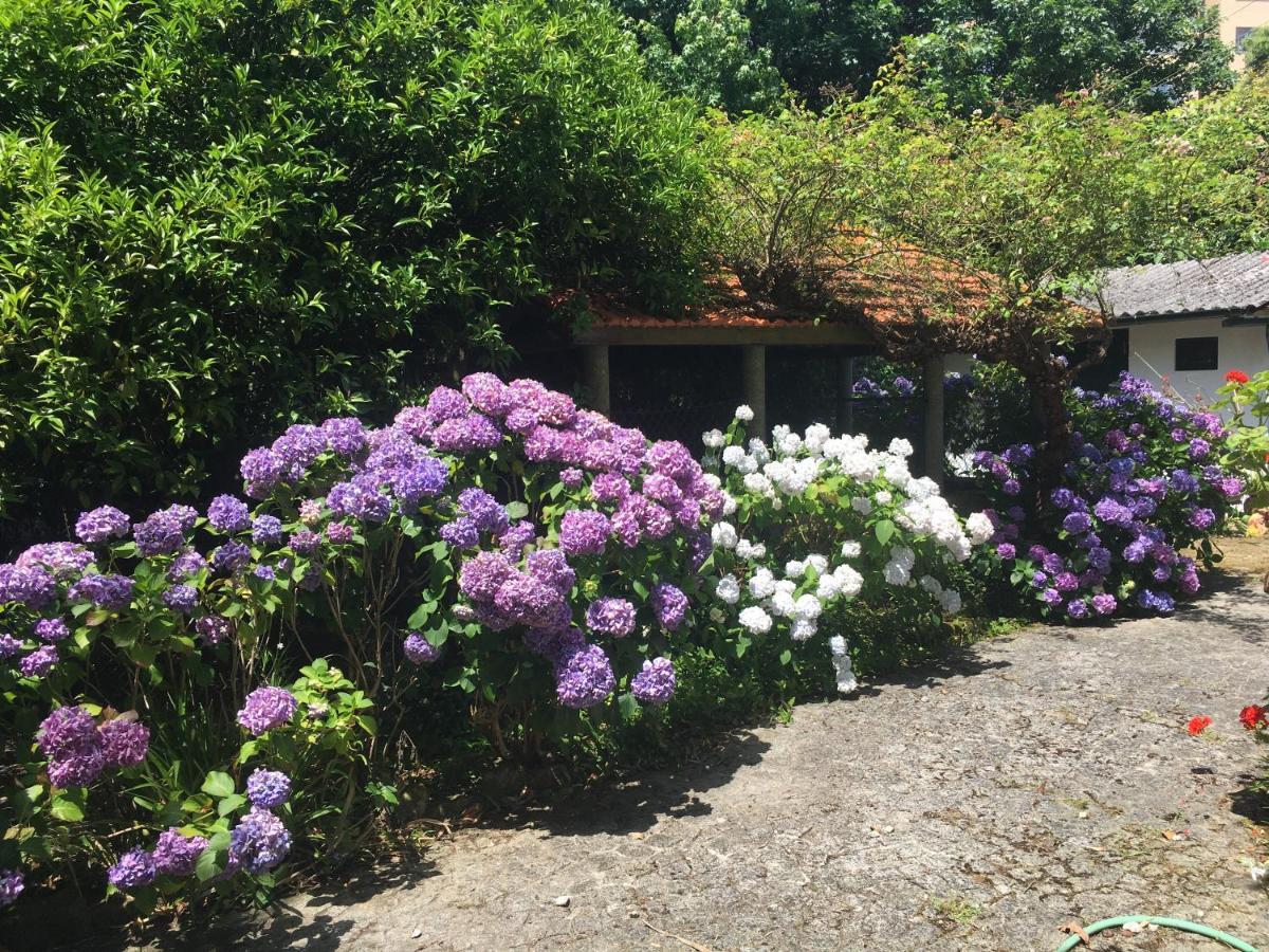 The Oaks House Foz Hotel Porto Luaran gambar