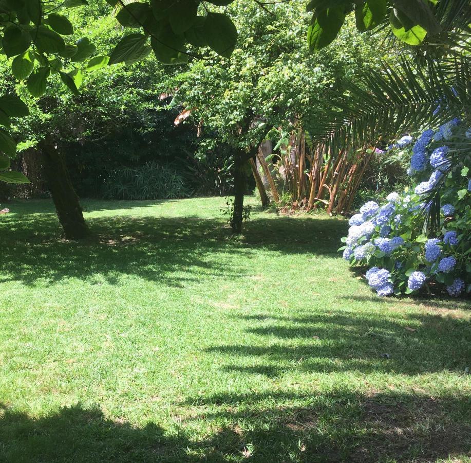 The Oaks House Foz Hotel Porto Luaran gambar